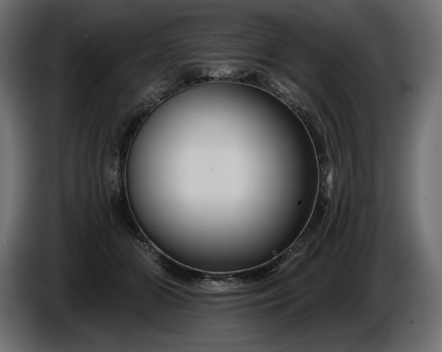 X0000086300510200704131612