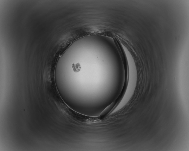 X0000086300512200704131612