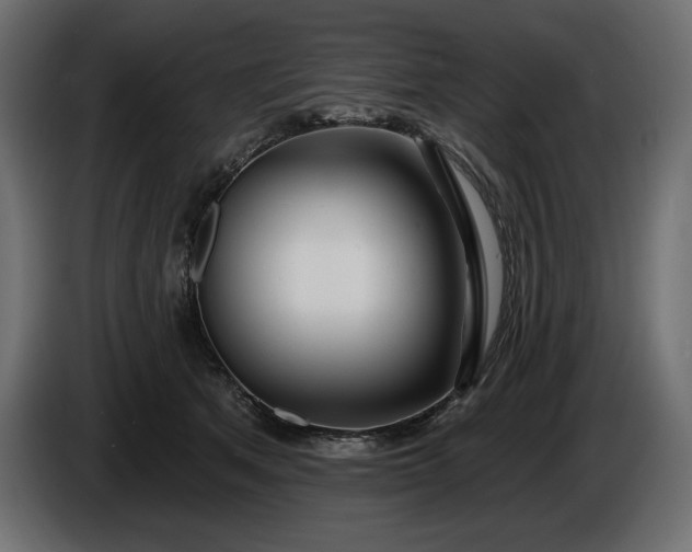 X0000086300513200704131612