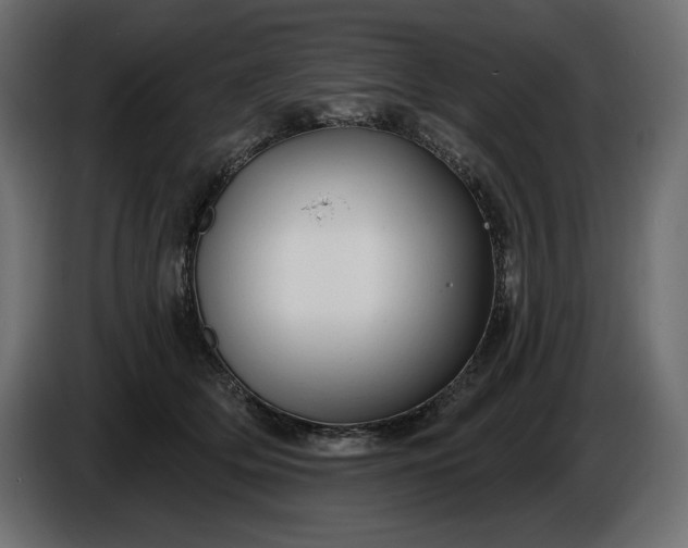 X0000086300514200704131612