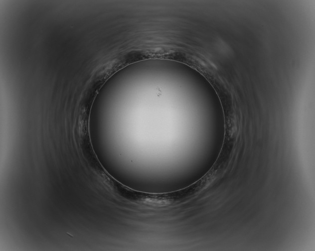 X0000086300515200704131612