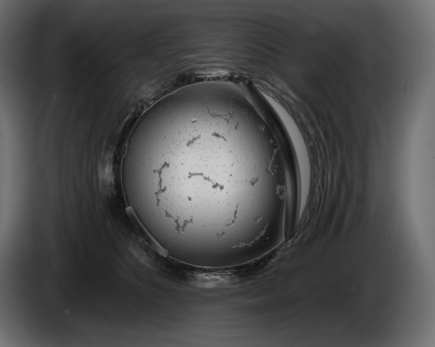 X0000086300516200704131612