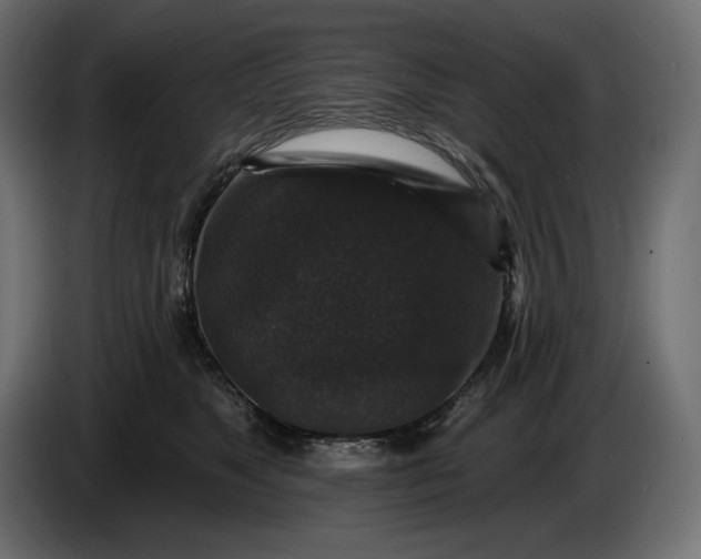 X0000086300517200704131612