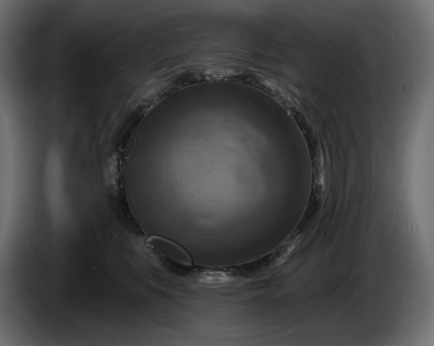 X0000086300519200704131612