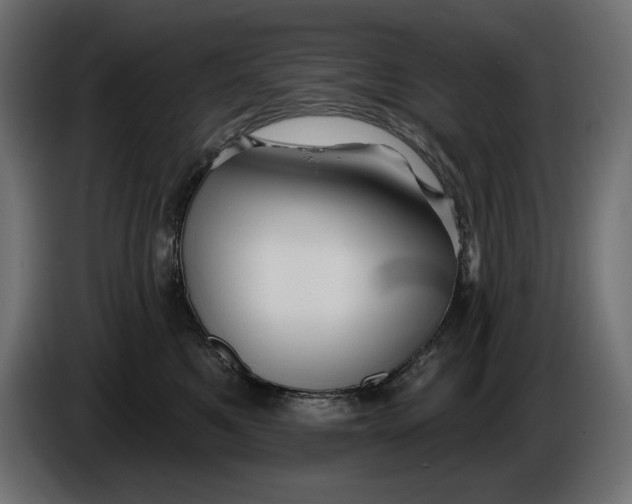 X0000086300521200704131612