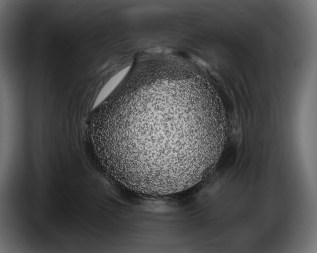 X0000086300523200704131612