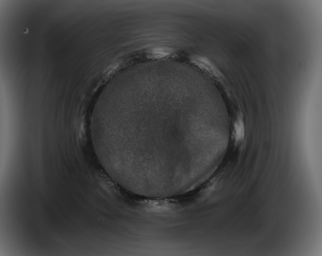 X0000086300524200704131612