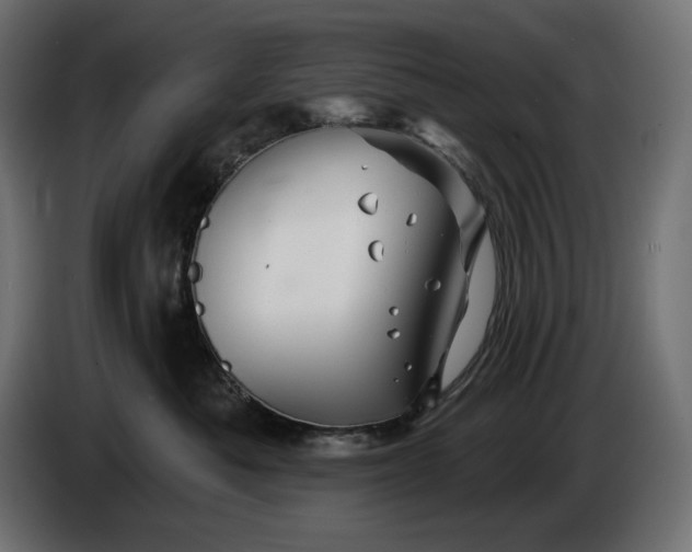 X0000086300525200704131612