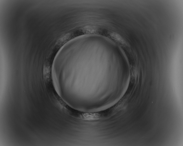 X0000086300526200704131612