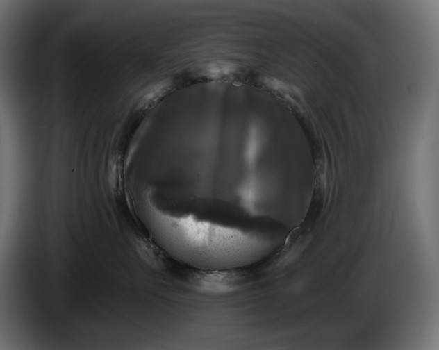 X0000086300527200704131612