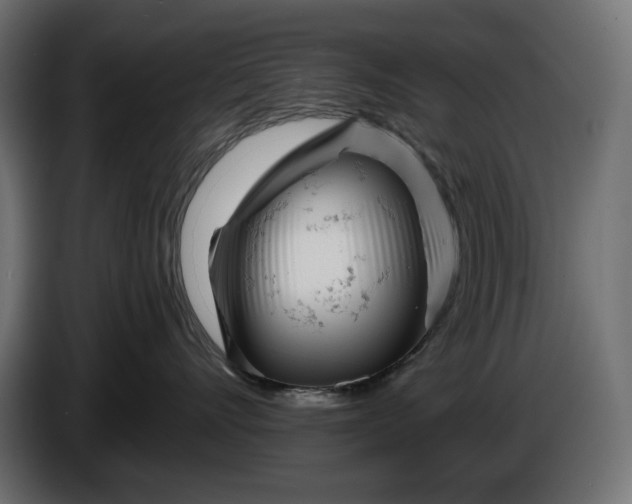 X0000086300528200704131612