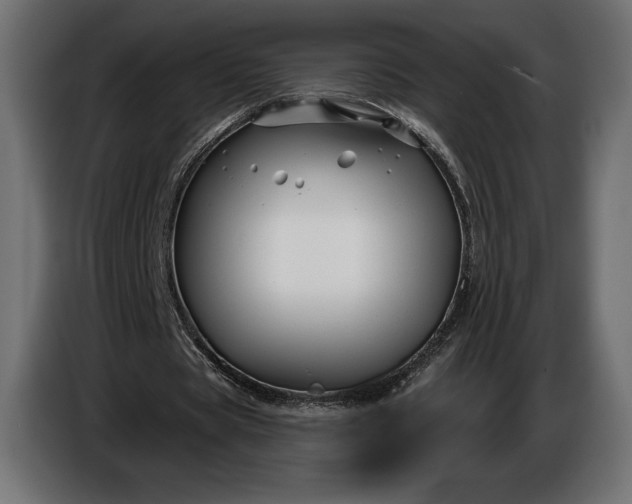 X0000086300529200704131611