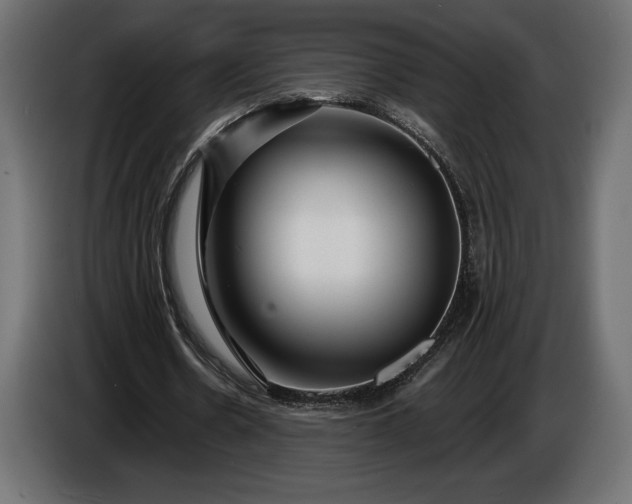 X0000086300530200704131611