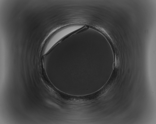 X0000086300531200704131611