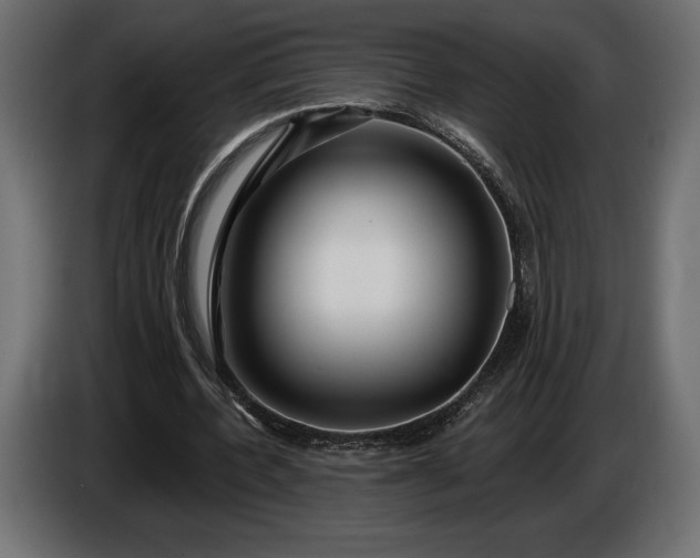 X0000086300532200704131611