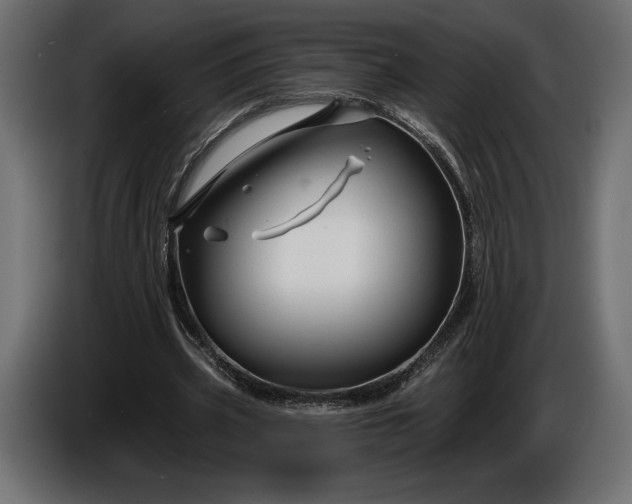 X0000086300533200704131611