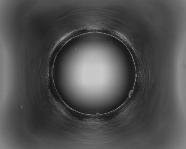 X0000086300535200704131611