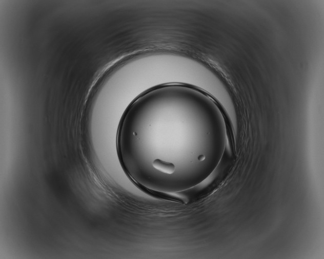 X0000086300536200704131611