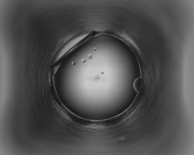 X0000086300537200704131611