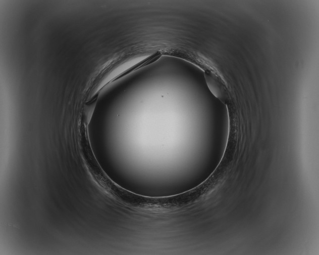 X0000086300538200704131611