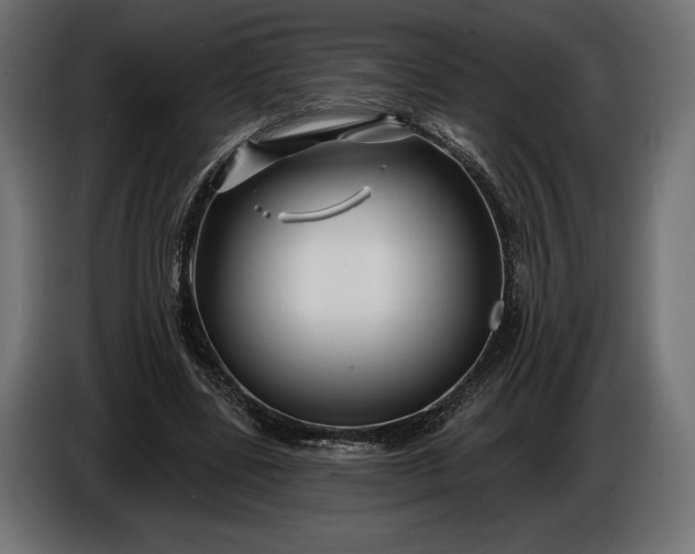 X0000086300539200704131611