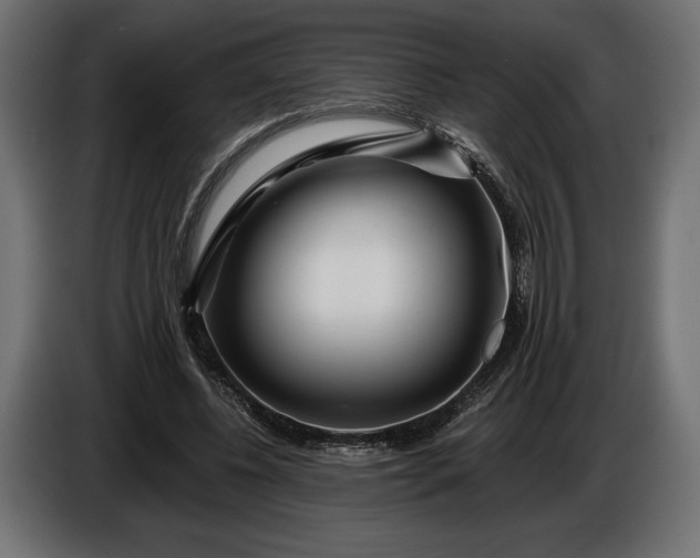 X0000086300540200704131611