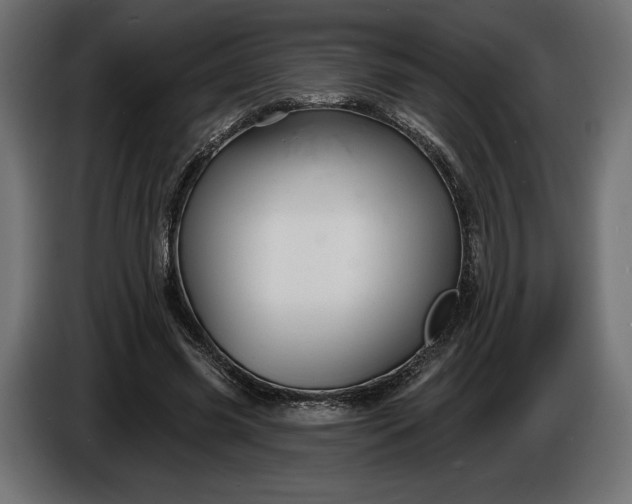 X0000086300541200704131611