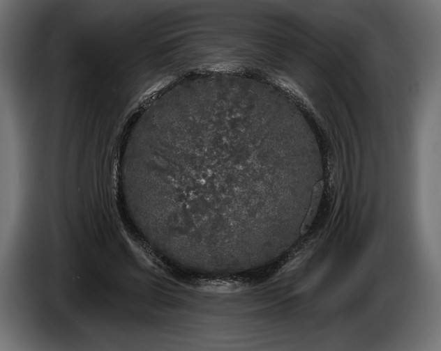 X0000086300542200704131611