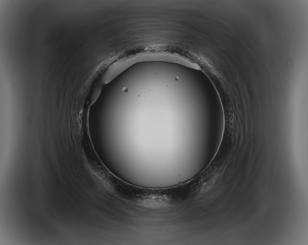 X0000086300543200704131612