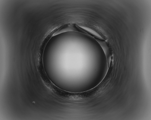 X0000086300544200704131612