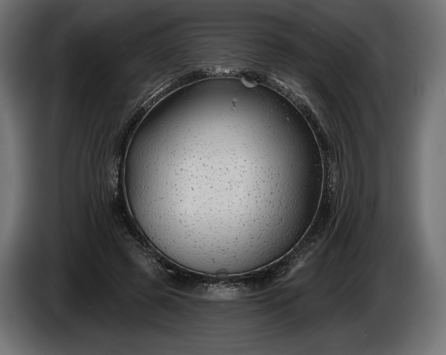 X0000086300545200704131612