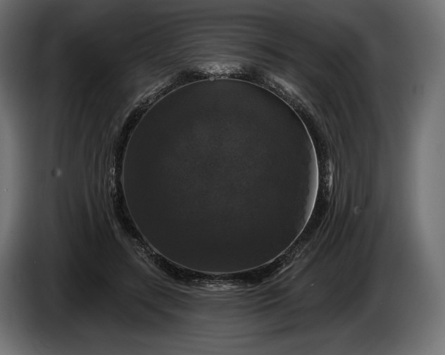 X0000086300547200704131612