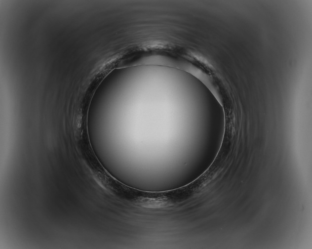 X0000086300548200704131612