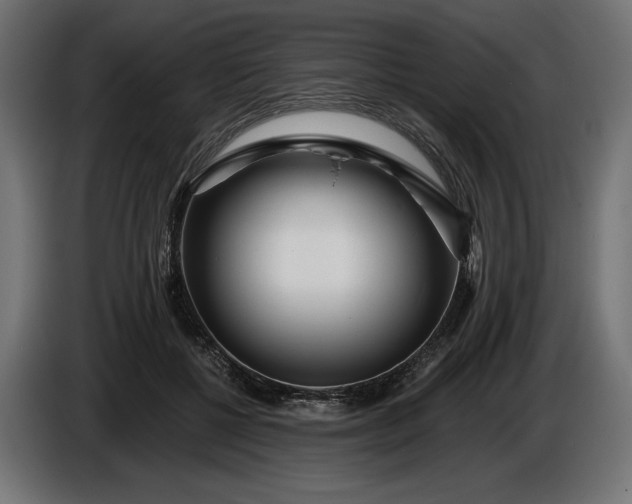 X0000086300552200704131612