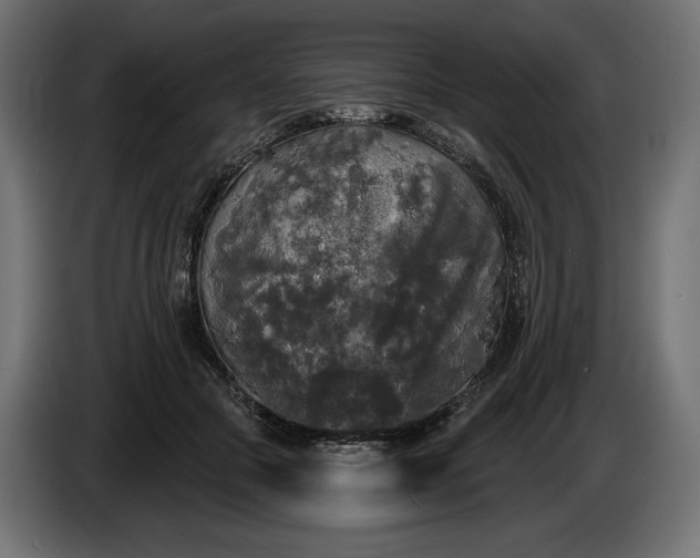 X0000086300553200704131612