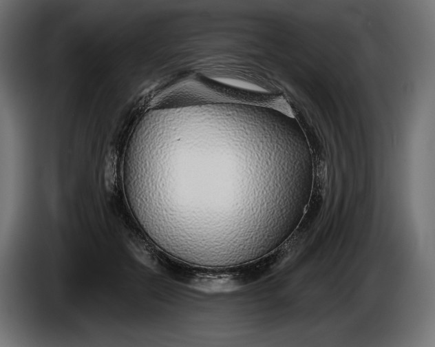 X0000086300554200704131612