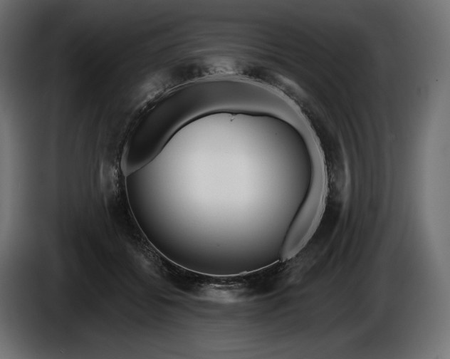 X0000086300556200704131612