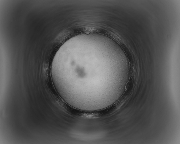 X0000086300557200704131612