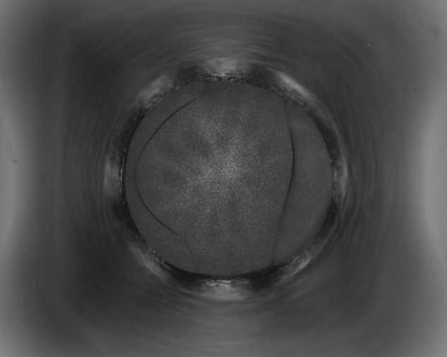 X0000086300558200704131612