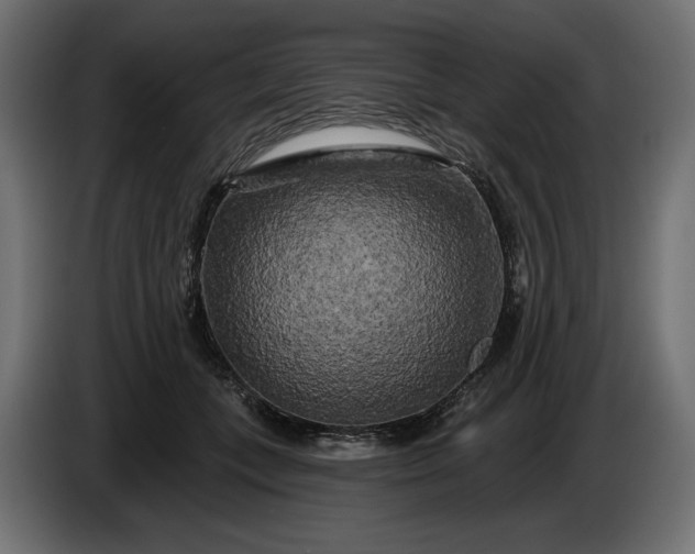 X0000086300559200704131612