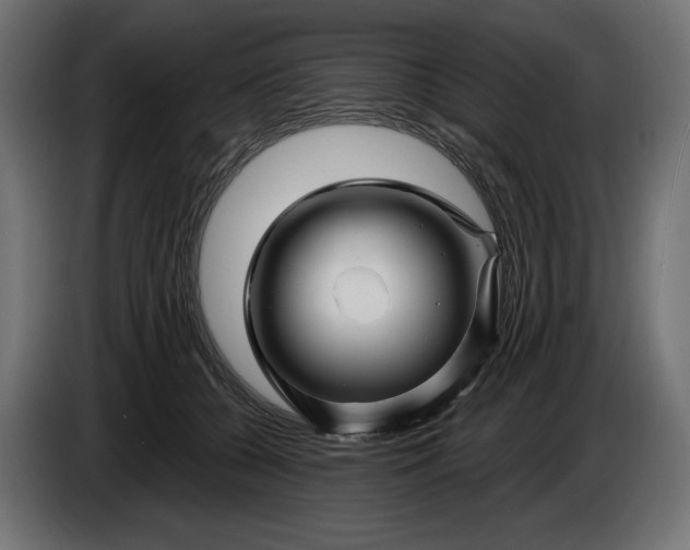 X0000086300560200704131612