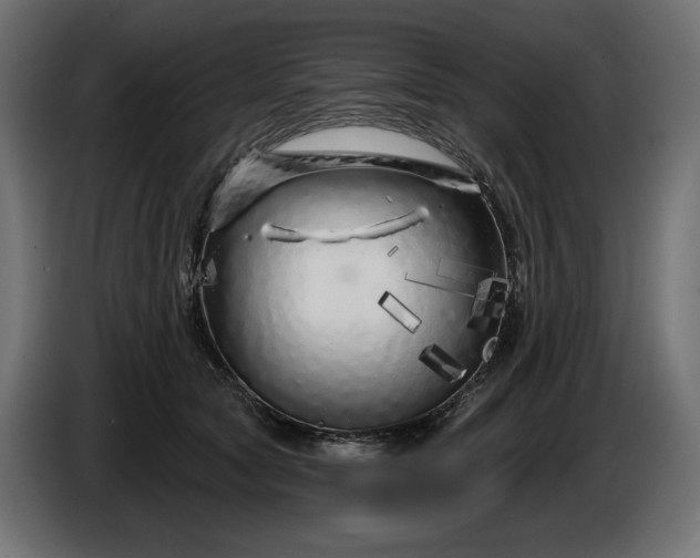 X0000086300561200704131612