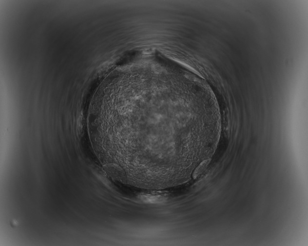 X0000086300563200704131612