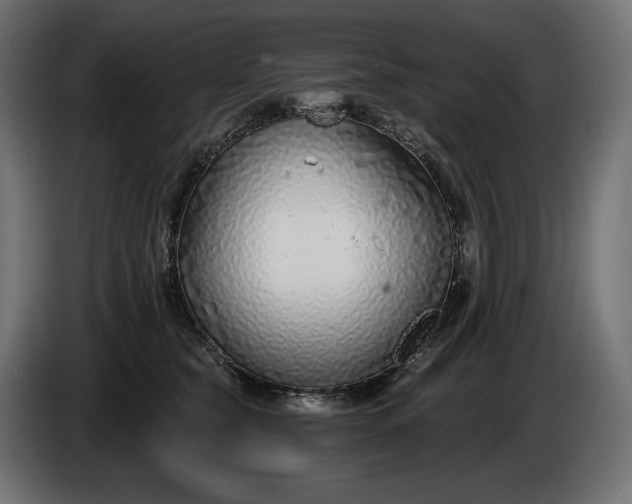 X0000086300565200704131612