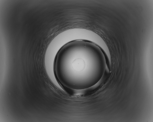 X0000086300568200704131612