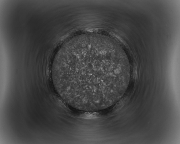 X0000086300569200704131612