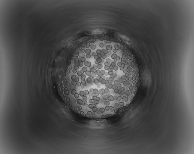 X0000086300571200704131612