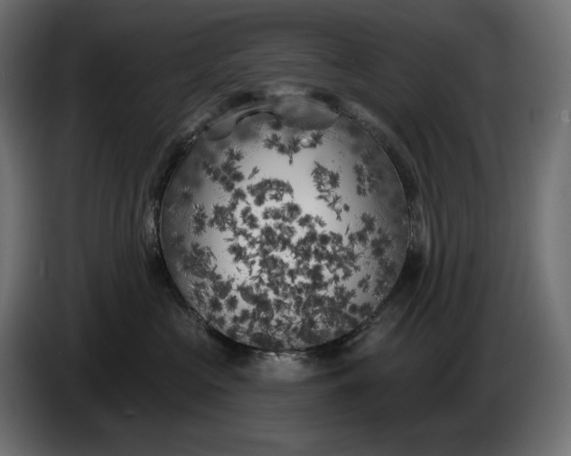 X0000086300573200704131612