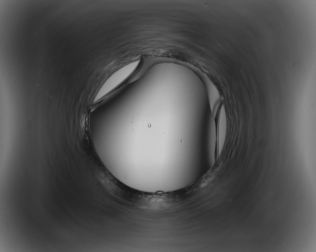 X0000086300574200704131612