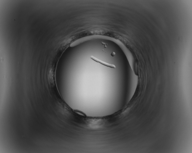 X0000086300575200704131612